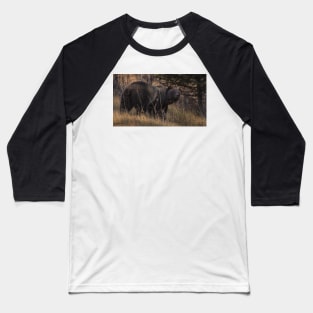 Grizzly Baseball T-Shirt